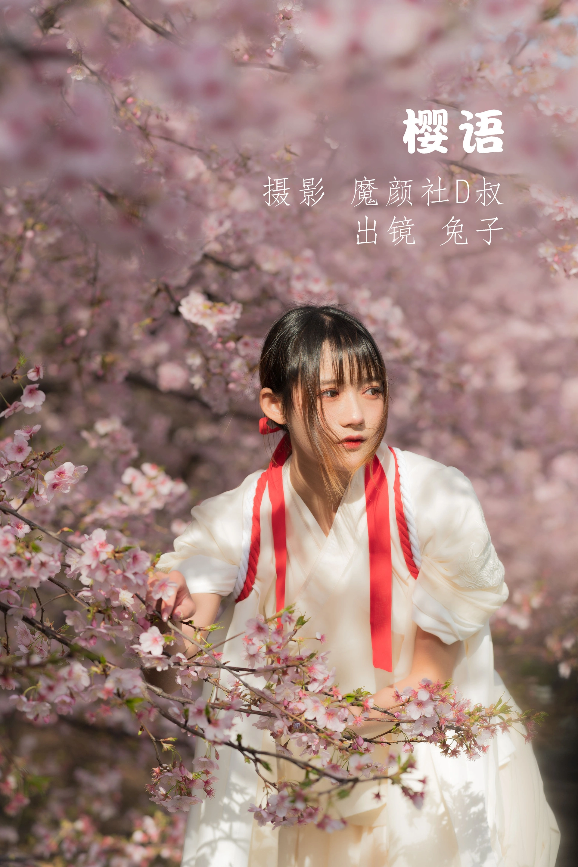兔子Zzz不吃胡萝卜 - NO.68 樱语 1